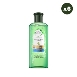 6 Shampoings Aloe & Bambou...